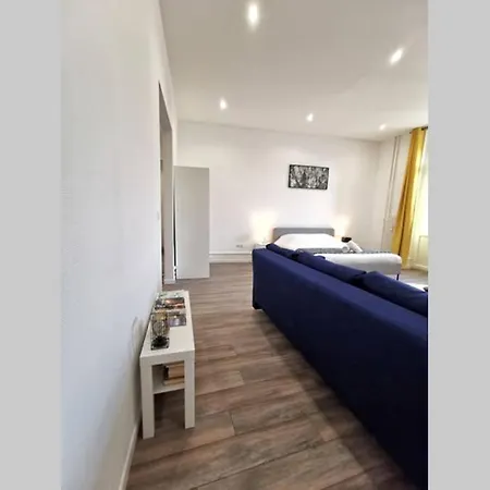 Apartment Chic, Spacieux & Lumineux Au Centre De Strasbourg